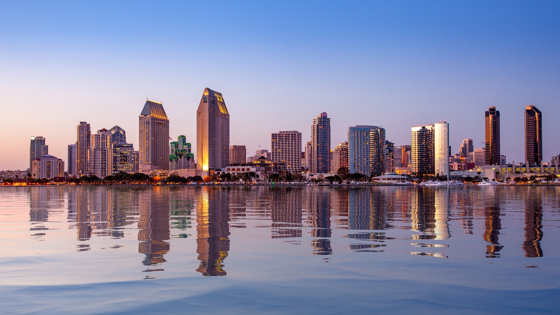 A portrait shot of downtown San Diego at dusk.