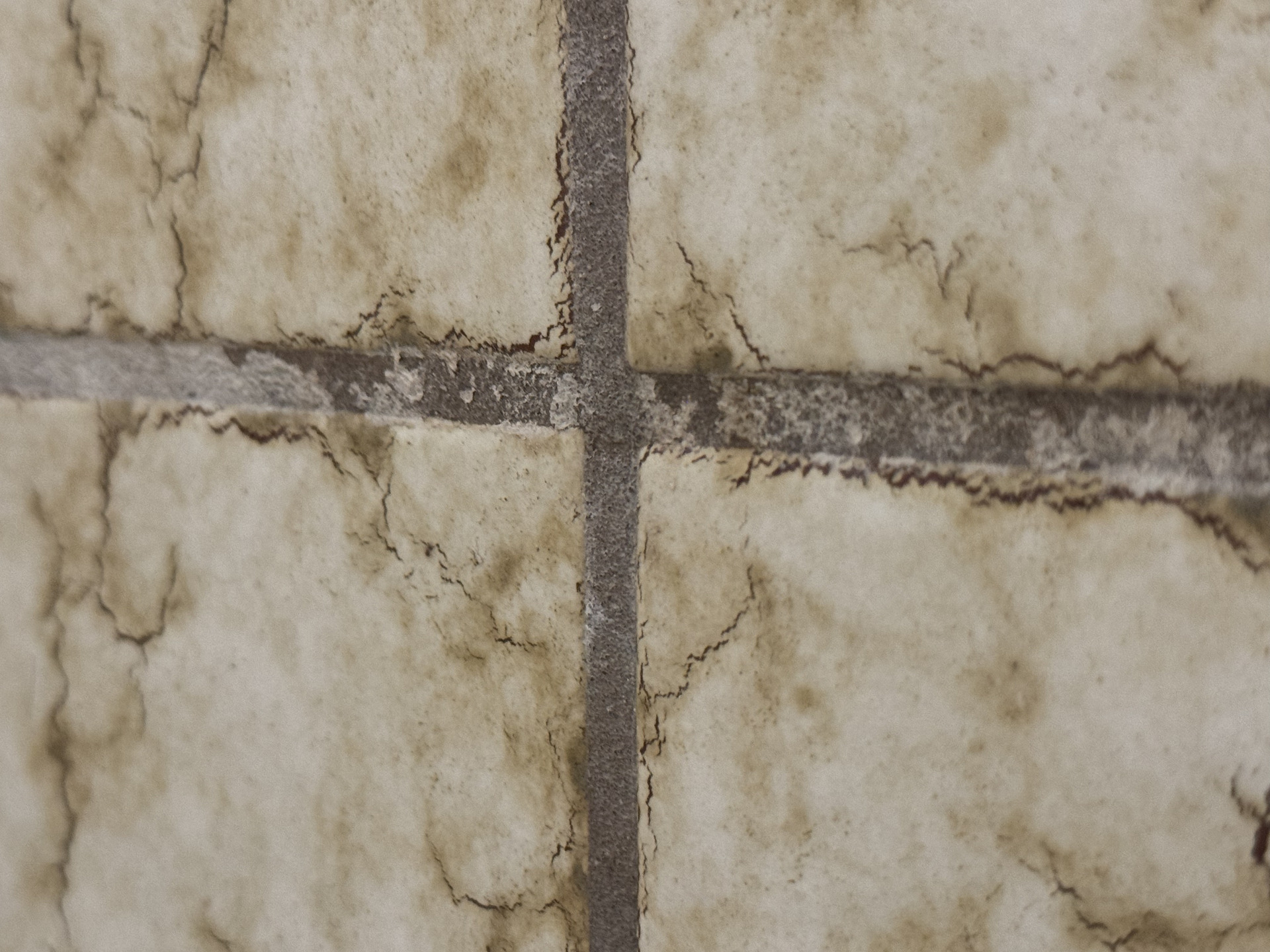 A tile shower with grout that has dirty pores.