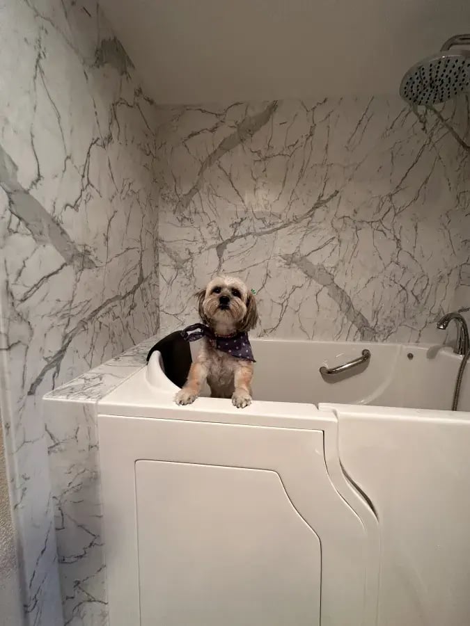 walk-in-bathtub-with-dog-san-diego-bathtub-remodeling-shugarman’s-shirley