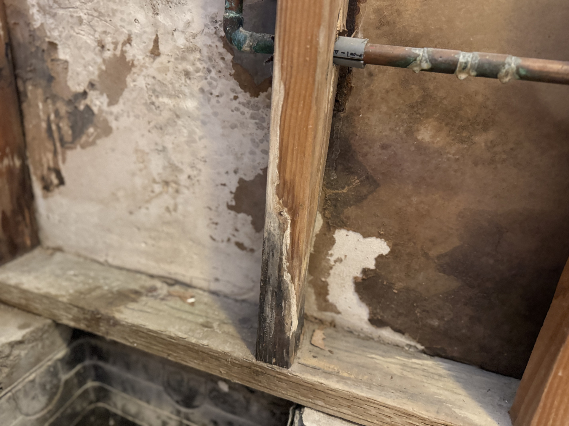 An exposed wall with peeling drywall and a rotting stud that's started molding.