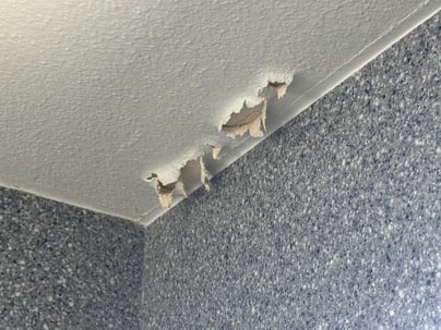 Inside of a shower where the ceiling paint is peeling