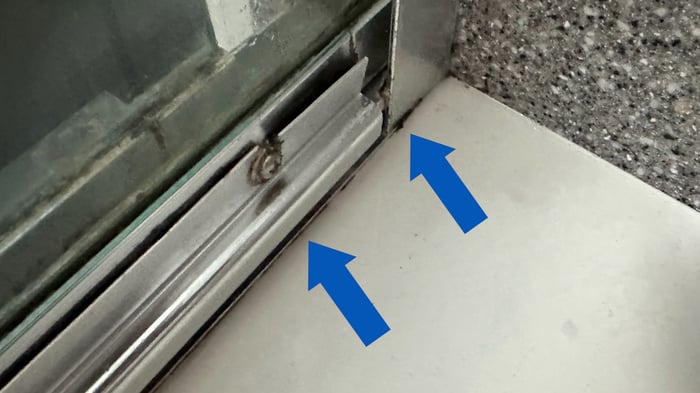 Mold on silicone lines between the tub and sliding glass doors.