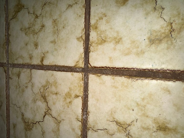 Dirty grout lines on a shower wall.