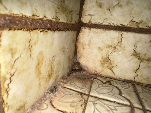 An old tile shower with grout that needs to be resealed.